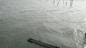 當90後喜歡上釣魚:釣幾條小魚世界被治癒了 當90後喜歡上釣魚:釣幾條小魚世界被治癒了