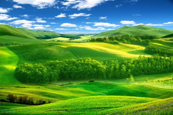 分享圖片～草原