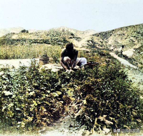 1902年的威海劉公島，東村街道破爛不堪，老人在村頭表演口技