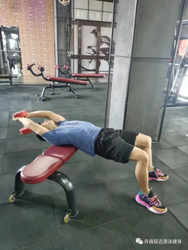 背部的訓練動作有哪些?該怎麼做 背部的訓練動作有哪些?該怎麼做