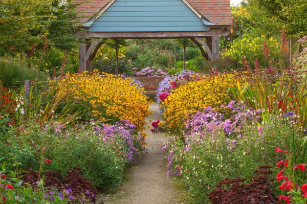花園鑲邊，增加植物層次，豐富花園景觀