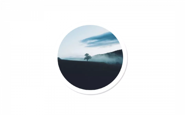 結婚十年,大S還是離婚了:有種女人,無論什麼時候都能對自己狠 結婚十年,大S還是離婚了:有種女人,無論什麼時候都能對自己狠