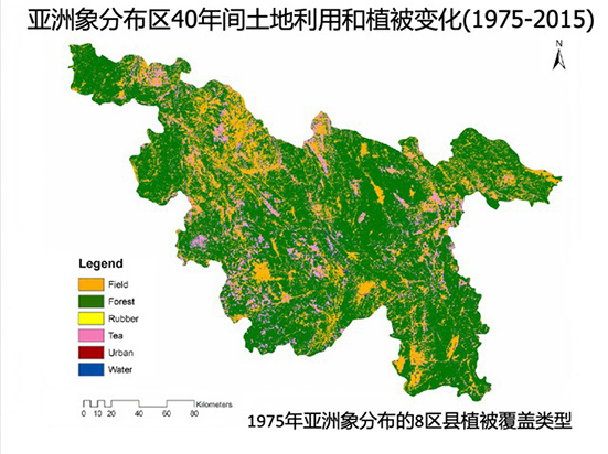大象到家了,會有下次旅行嗎? 大象到家了,會有下次旅行嗎?