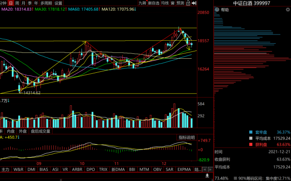 重點分析白酒、醫療、半導體板塊的走勢