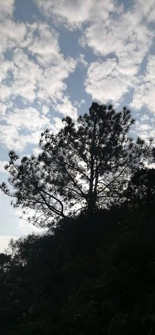 雲彩下的山城系列（九）