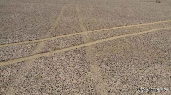 隊員感悟｜挑戰戈壁，發現不一樣的自己