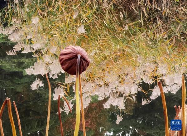 秋染京城 美景如畫