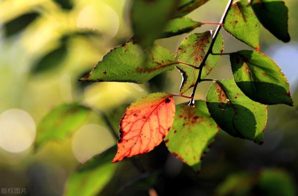 《尉繚子》原文 譯文(十七) 《尉繚子》原文 譯文(十七)