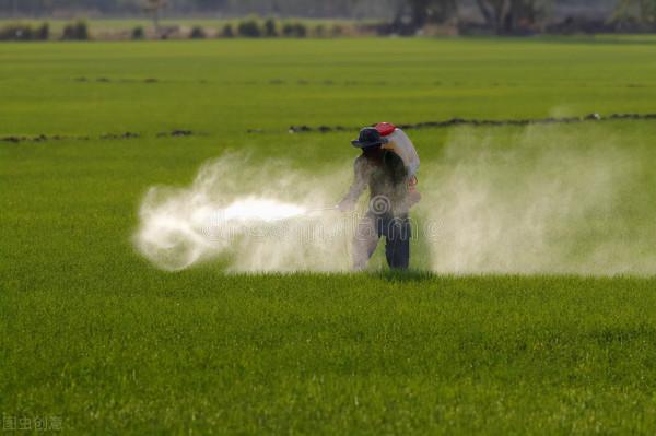 加入它殺蟲效果翻倍,成本幾毛錢!冬季這樣用,抵抗低溫促生長 加入它殺蟲效果翻倍,成本幾毛錢!冬季這樣用,抵抗低溫促生長