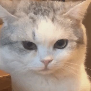 劇都沒播差評先到，誰的鍋？