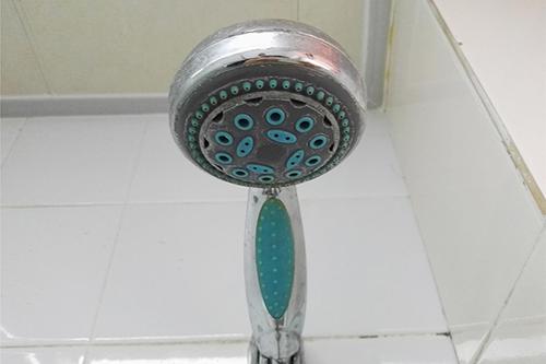 頭蟎是頭皮、頭髮損傷的重要原因，保護頭皮要從消除頭蟎開始