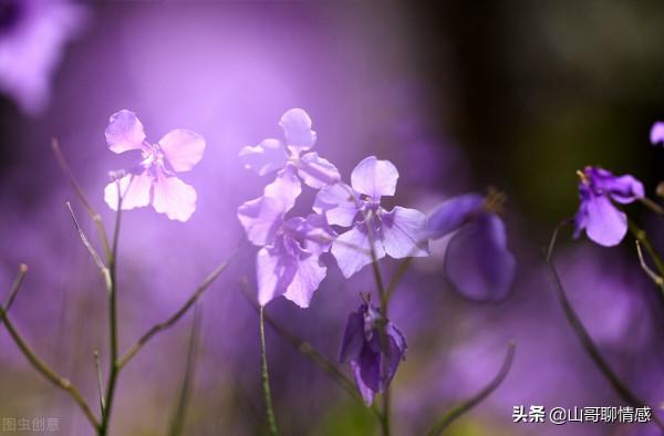 人生到最後，其實就是“活自己”