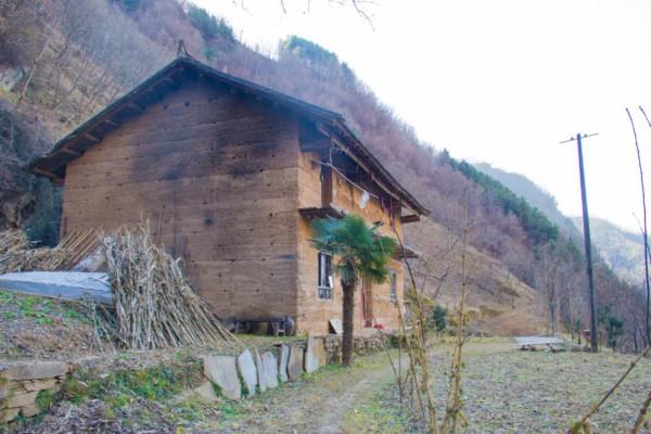 這棟秦嶺老房子牆體顏色很少見，原以為是光線原因，後來發現錯了