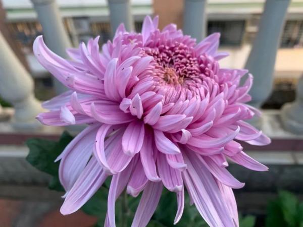 朋友圈2021年第31期