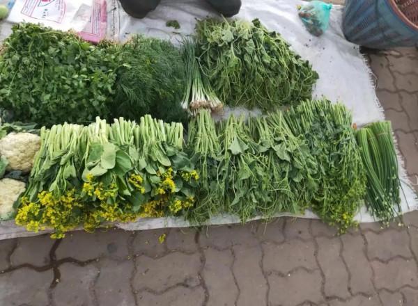 初到永珍的半天遊 初到永珍的半天遊