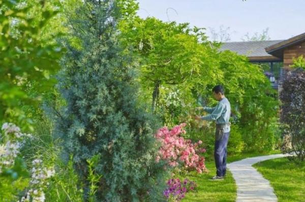 騰訊元老魏震：賺夠錢後辭職、攜妻兒退隱山林，每天種地喝茶？