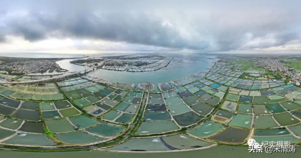 吳鍾飛：臘月漁鄉港北