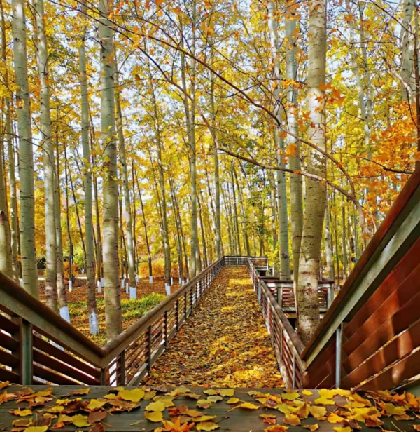 京郊這家酒店，依山傍水，簡直是週末度假的絕佳選擇