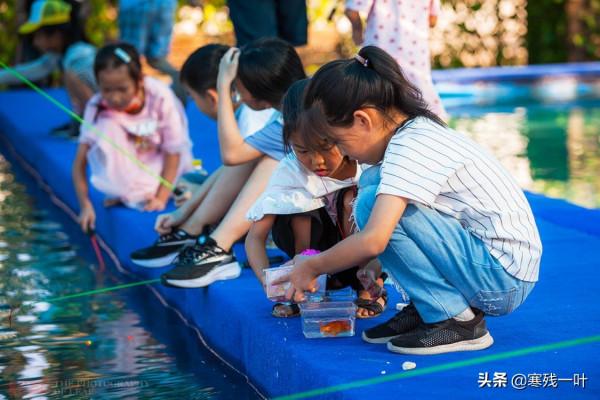 一個簡易魚池，一根魚竿30塊，遊客路過就邁不開腿，為何這麼火？