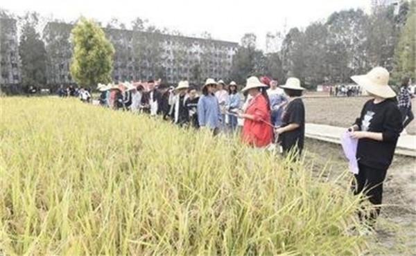 農業大學等於畢業種田？考生考上985大學，鄰居表示：沒出息