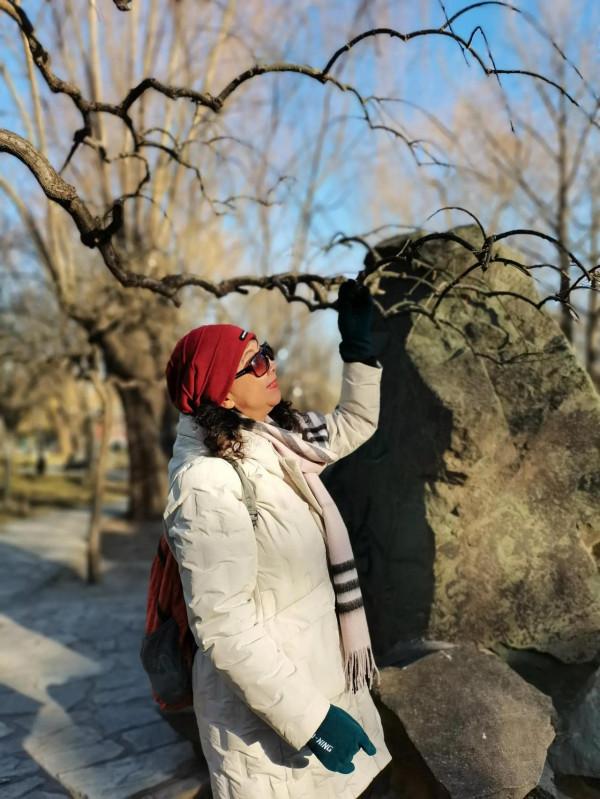 三位姥姥逛北京大觀園