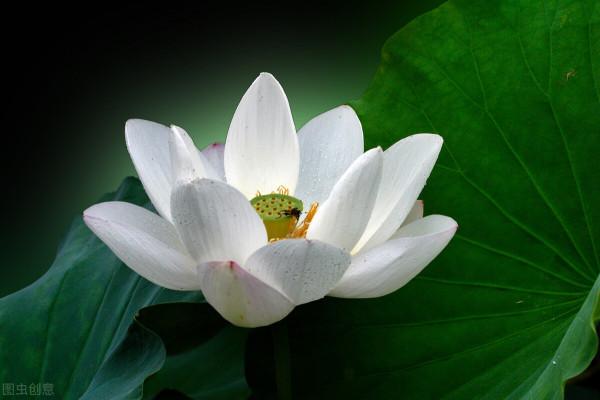 人過六十，你走過的每一步路都是歸途