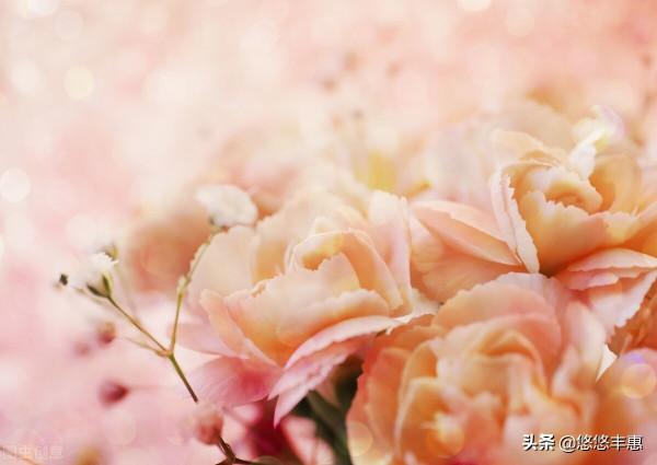 「詩歌」罐頭夢/搖晃的風兒