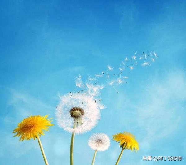 人到中年的幸福：家人可愛，心中無事，享受人間煙火