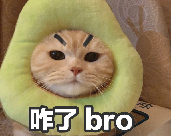 為什麼越來越多人養“黃狸貓”?網友:養了之後就不想換貓了 為什麼越來越多人養“黃狸貓”?網友:養了之後就不想換貓了