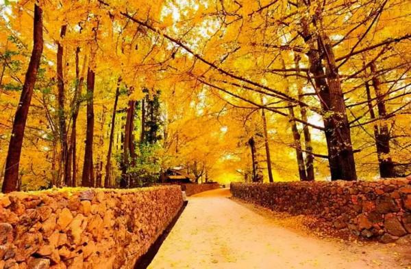 醉美中國，在秋天