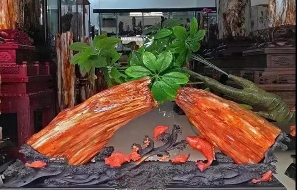 木化石，億萬年前的遺世孤品