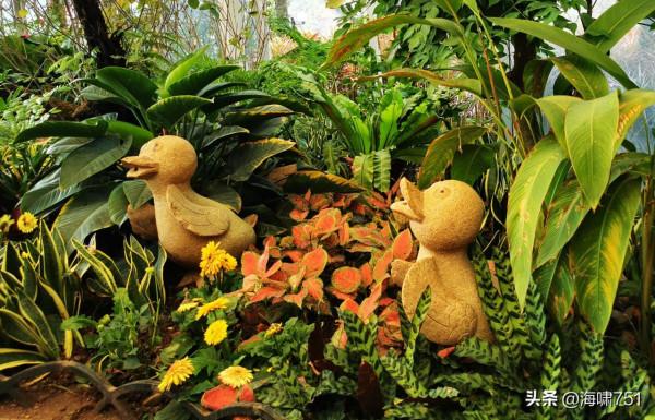 雲臺花園花的海洋