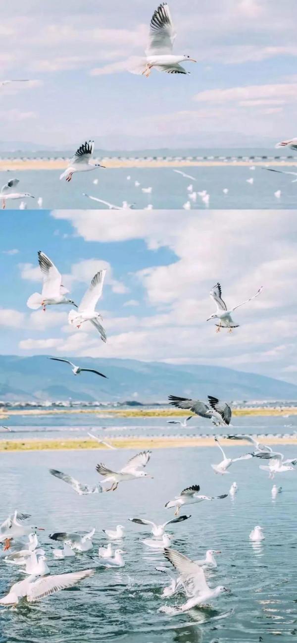 治癒系漫畫｜流年輾轉只因年少