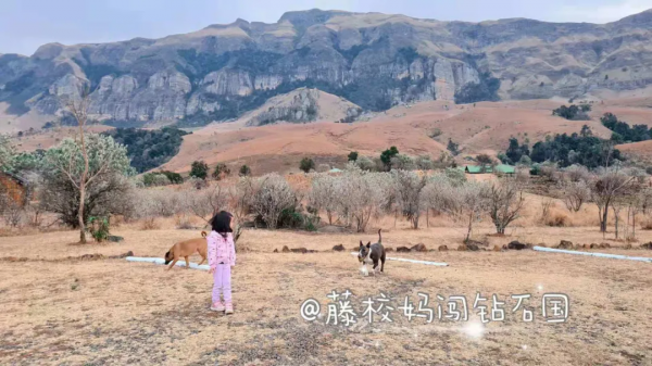 平均一年出遊超過20次的玩家級媽媽，帶孩子出門是這樣打包的