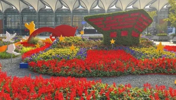 進博會開幕在即!綻放在道路、主題景點、花壇花境的限定美景來了→ 進博會開幕在即!綻放在道路、主題景點、花壇花境的限定美景來了→