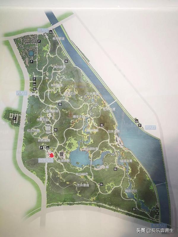 虎年初五遊覽白河城市森林公園