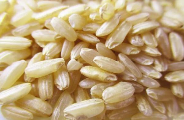 吃大米、饅頭怕長胖！不如主食換成這幾種，健脾和胃，吃嘛嘛香