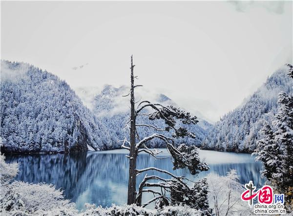 九寨溝金秋最美時 燻醉遊人不知歸 九寨溝金秋最美時 燻醉遊人不知歸