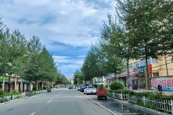 標緻4008環青海長測Day9：鳥島叫“蚊子島”，沿青海沿線達剛察！