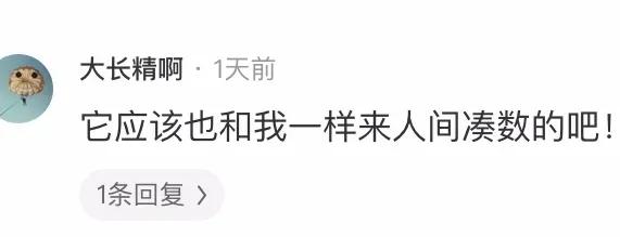 神評家--美男子尹正