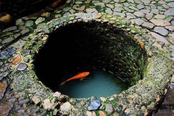 古人打井後,為何要在井中放2條魚或烏龜?老祖宗的智慧讓人欽佩 古人打井後,為何要在井中放2條魚或烏龜?老祖宗的智慧讓人欽佩