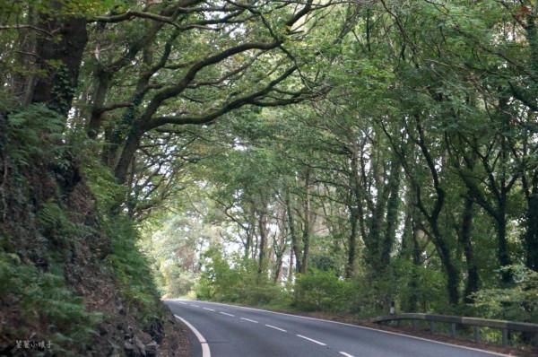 穿越1200萬隻羊的地方是種什麼感受？平均每人4頭羊，羊肉超好吃