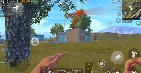 吃雞投擲物，新手懶得看？大神都在用