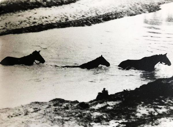 1943年，徒手殺死一個日本軍官有多難？一場戰鬥說明了這個問題