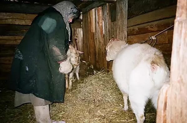 隱居西伯利亞42年的家族:外界發現後接連離世,小女兒至今健在 隱居西伯利亞42年的家族:外界發現後接連離世,小女兒至今健在