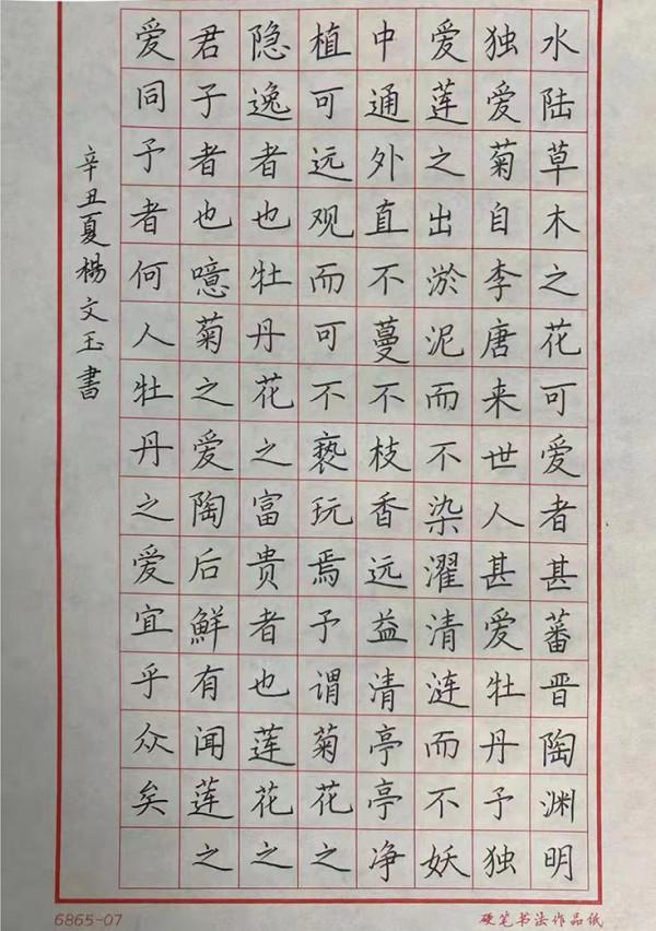 國家一級書法師——楊文玉