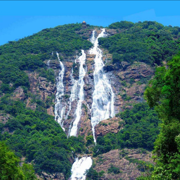 799元一年隨心住金葉子溫泉酒店，實測薅羊毛還是交智商稅