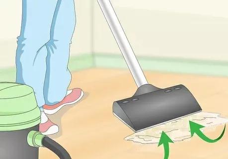 如何清除貓尿產生的汙漬