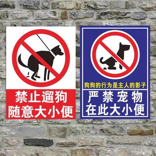 關於戶外寵物狗在路上大小便的問題,我們一起聊一聊 關於戶外寵物狗在路上大小便的問題,我們一起聊一聊