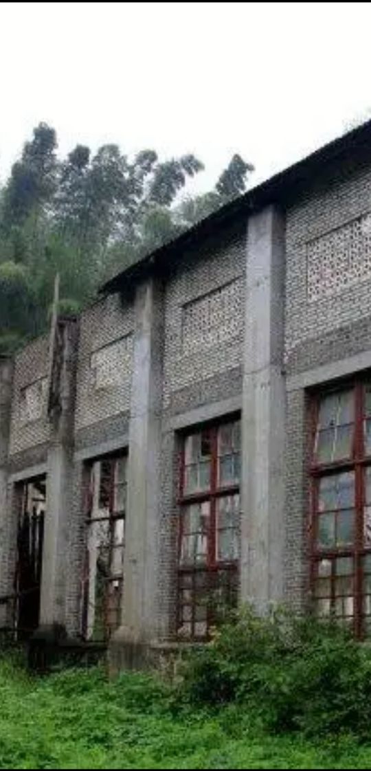 記憶中的三線廠 記憶中的三線廠